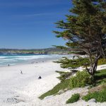 Asilomar State Beach | カリフォルニア州立海洋保護区にある美しいビーチ