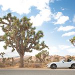 LAX発・セントラルコーストを北上する3日間の海岸ドライブ