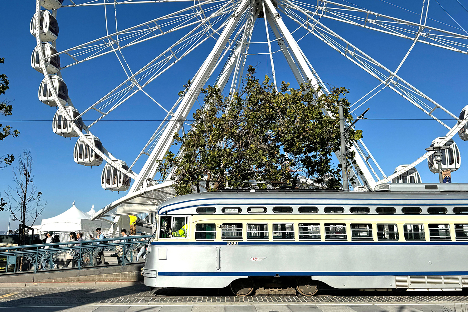 SkyStar Wheel Fisherman's Wharf | ベイエリアを一望する巨大