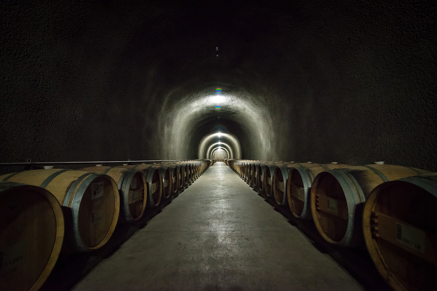 Napa Valley | シティガイド：世界的に知られるカリフォルニアワインの