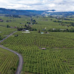 Columbia River Gorge｜滝と断崖が連なる、オレゴンの壮大な絶景渓谷