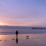 ロサンゼルス発・モハーベ砂漠とデスバレーを巡る3日間のロードトリップ