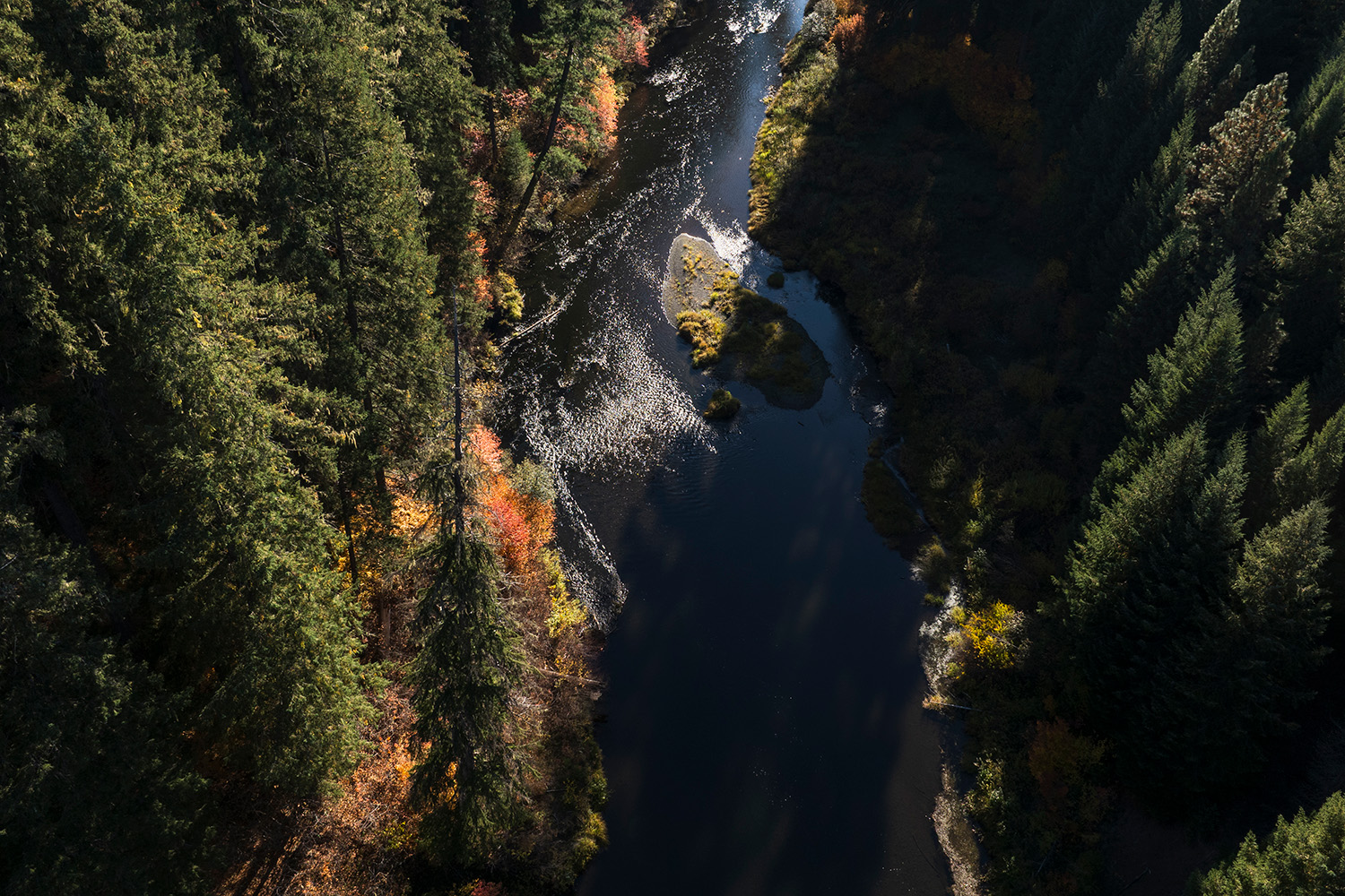 家の近くの川 Rogue–Umpqua Scenic Byway｜2つの景観河川をつなぐ、滝と渓谷の森林