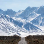 2月1日から開催！サンディエゴ・ミュージアム月間 2026