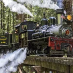 Big Basin Redwoods State Park | 1902年に設立されたカリフォルニア州最古の州立公園